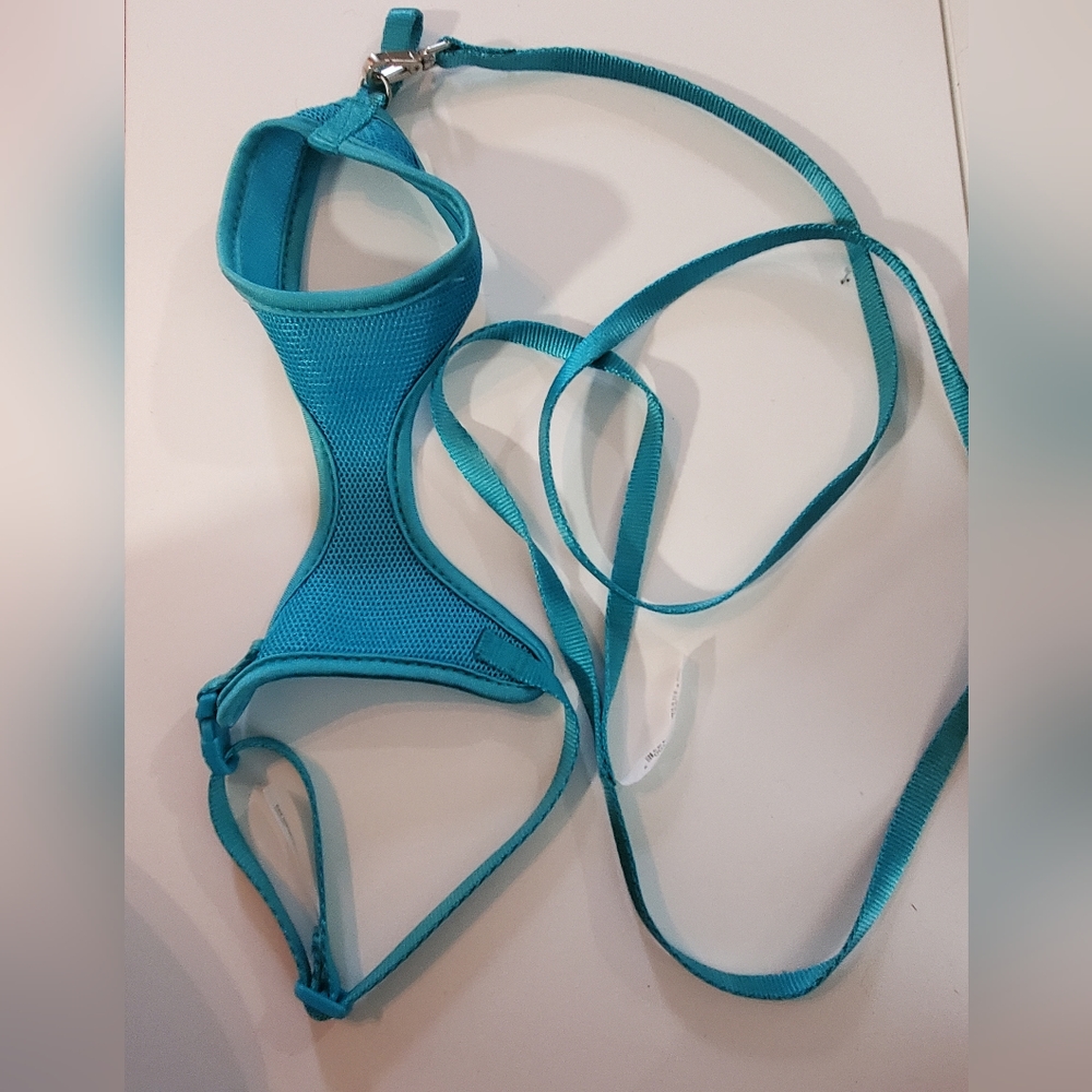 Blue harness cat/small dog